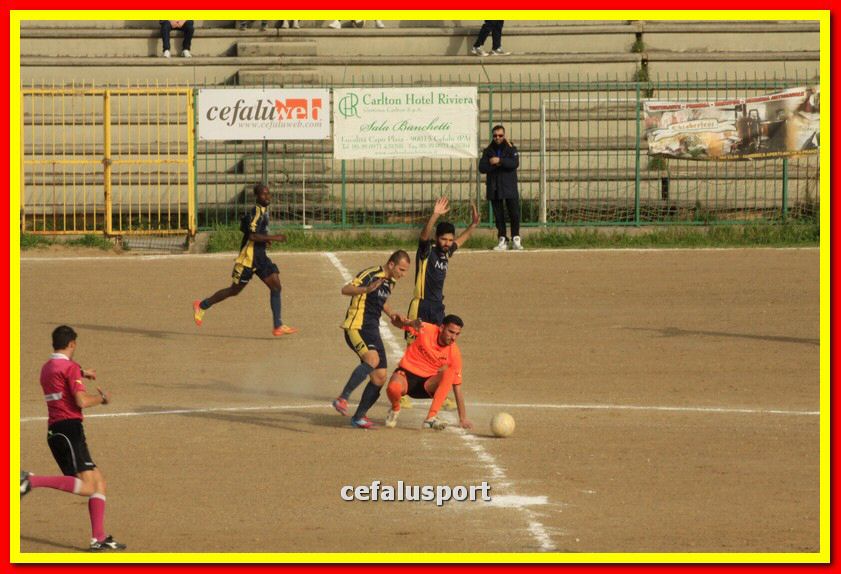 150321 stefanese 280_tn.jpg
